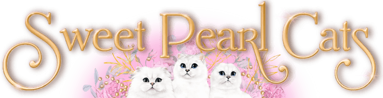 SweetPearlCats