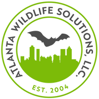 Rat Control Atlanta, Provided By Atlanta Wildlife Solutions, LLC