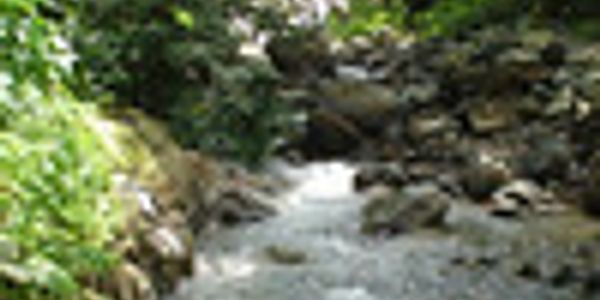 image12