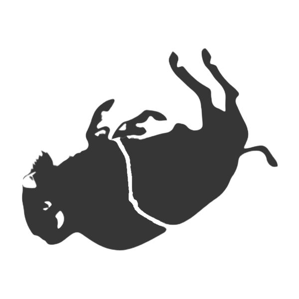 Falling bitter buffalo logo.