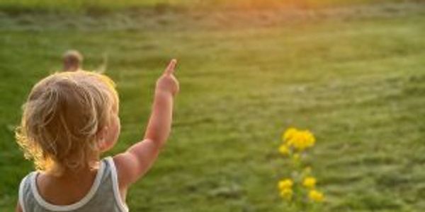 A toddler points towards the sunset in a farm hay field.