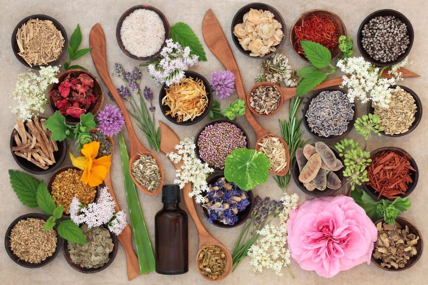 A Herbal Boutique