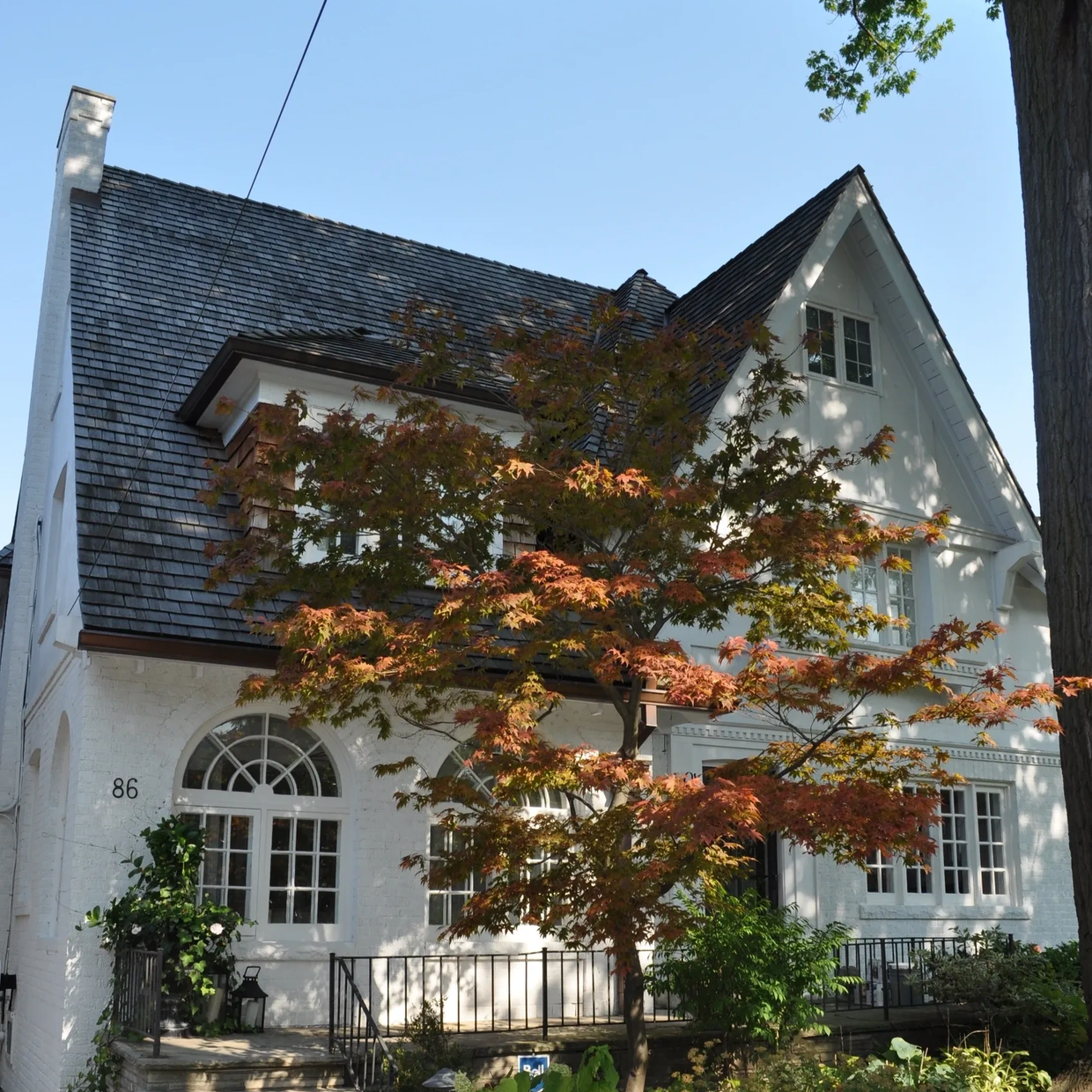 White brick house with fall-colored tree in front.