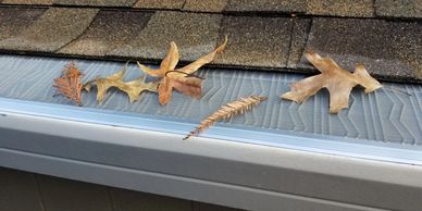 
Gutterglove's Leafblaster Pro Gutter Guard

