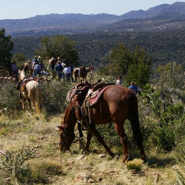 Verde Vaqueros