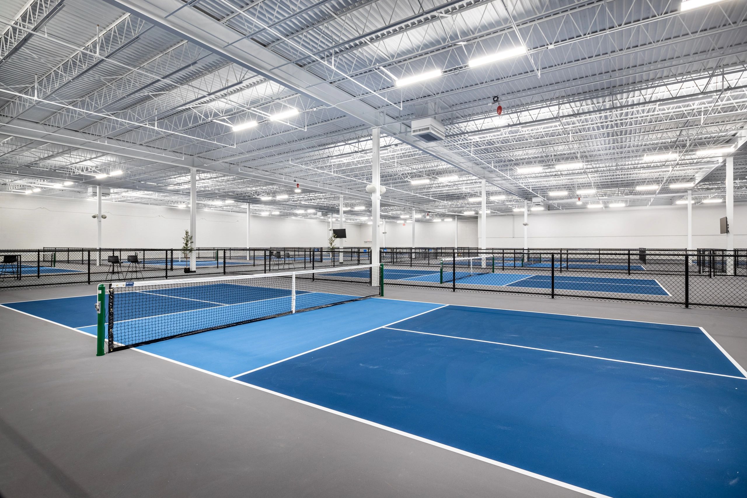 The Blue Zone Pickleball