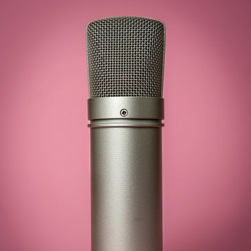 Microphone for public speaking.
