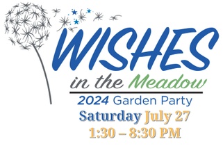 Wishes-In-The-Meadow