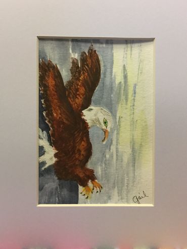 Eagle in dive.  8x10