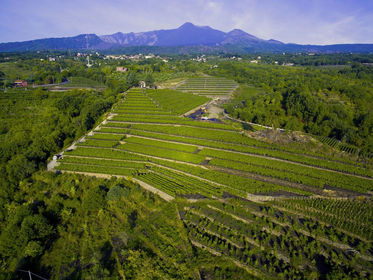 Iuppa Family Winery, Etna, Sicily, Italy