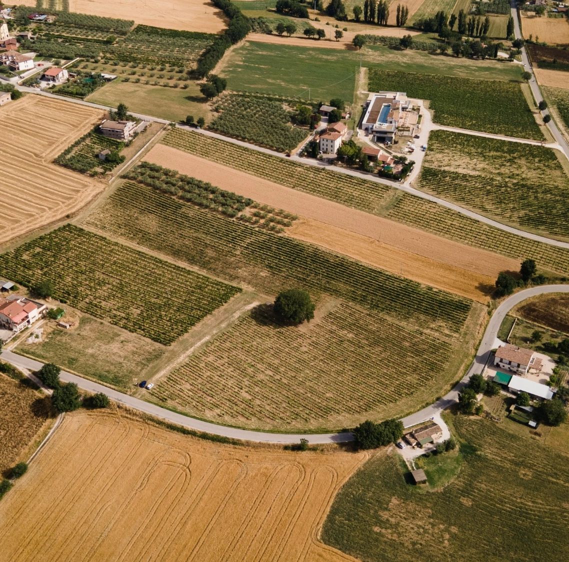 Tabarrini Montefalco Winery, Sagrantino