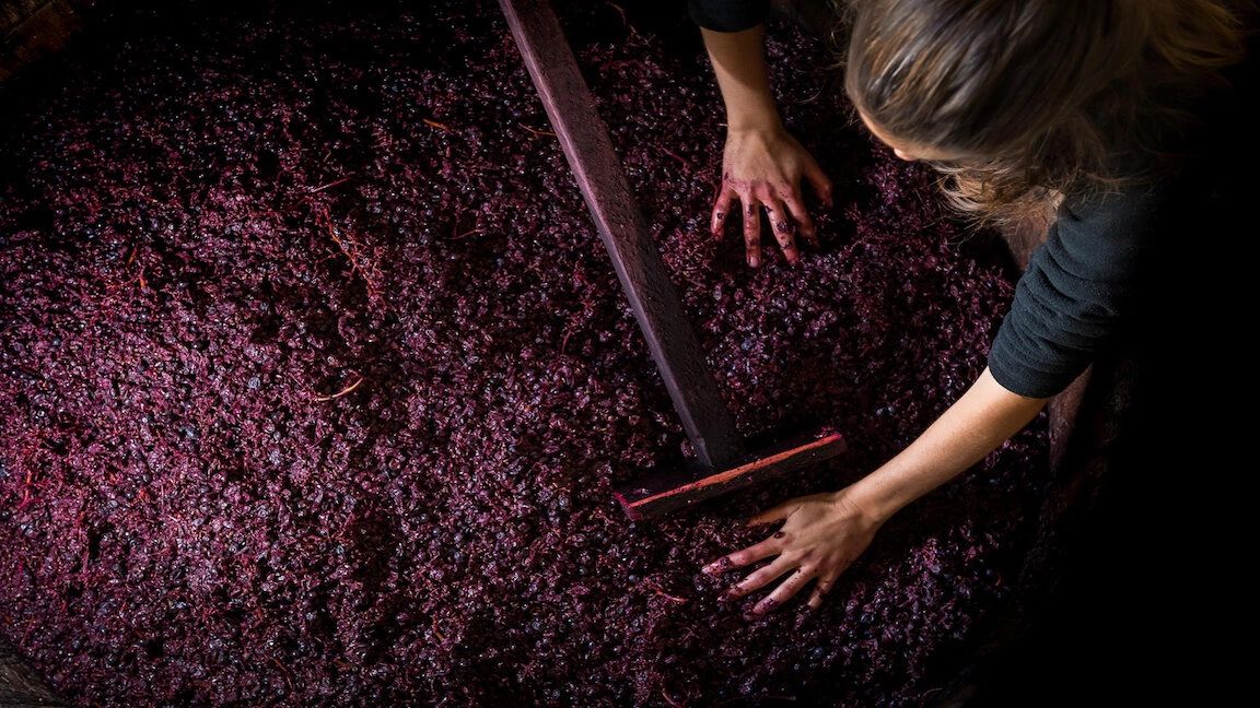 Chiara Condello, Sangiovese Winemaker in Predappio Romagna