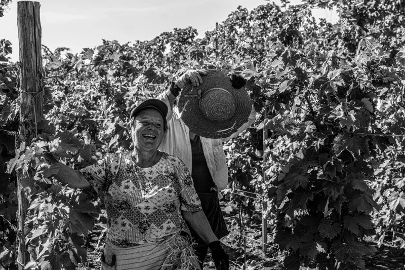 Iuppa Family Winery, Etna, Sicily, Italy Iuppa Family Winery, Etna, Sicily, Italy
