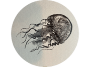 ANOMIA.ORG.UK