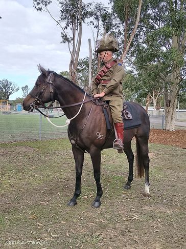 A soldier in uniform sits on a dark horse in a park area.