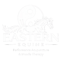 Eastern Equine