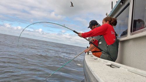 Thrasher Blanks - Fishing Rod Blanks, Usa Made Fishing Rods | Thrasher  Blanks