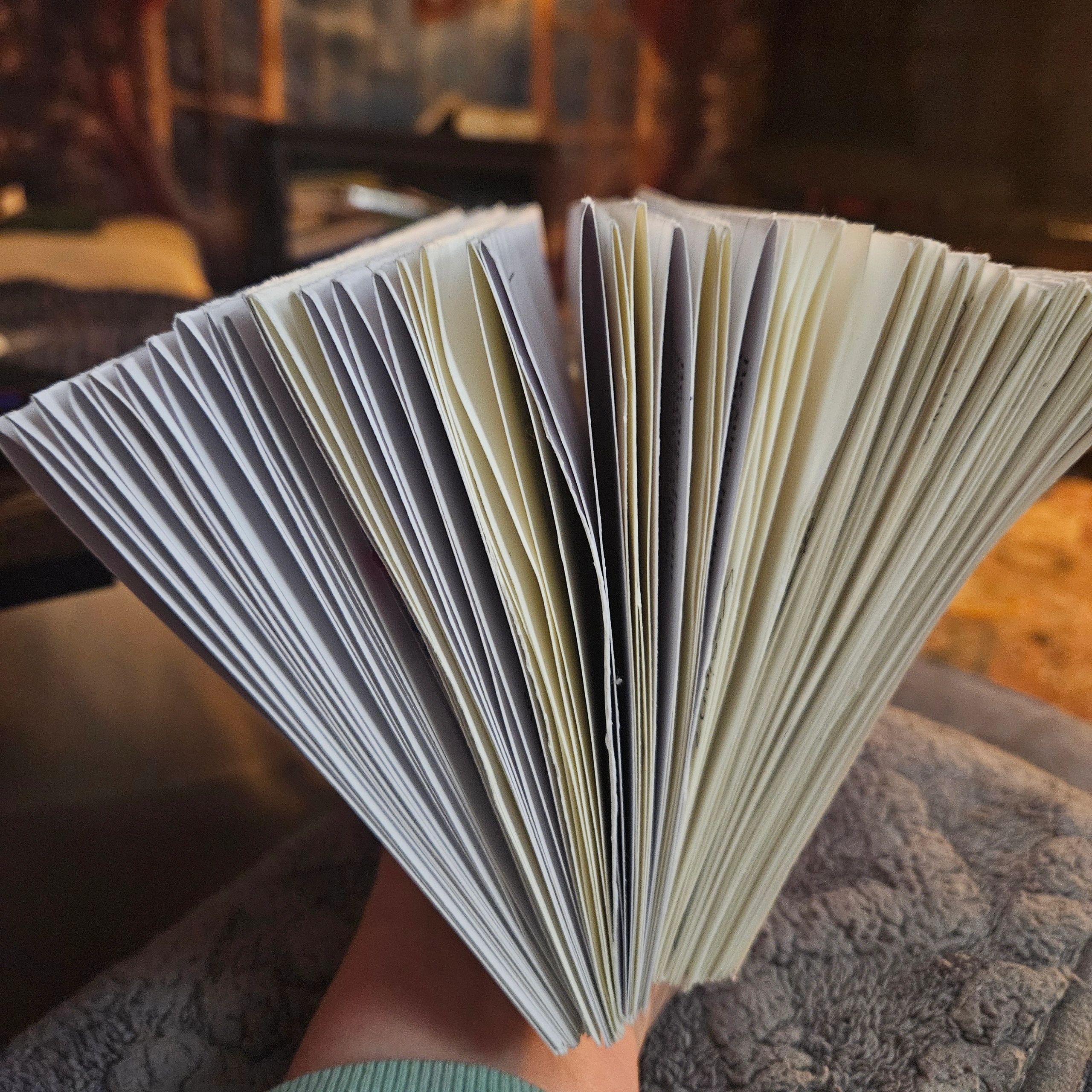 Close-up of an open book's pages.