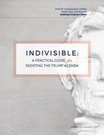 Indivisible guide 