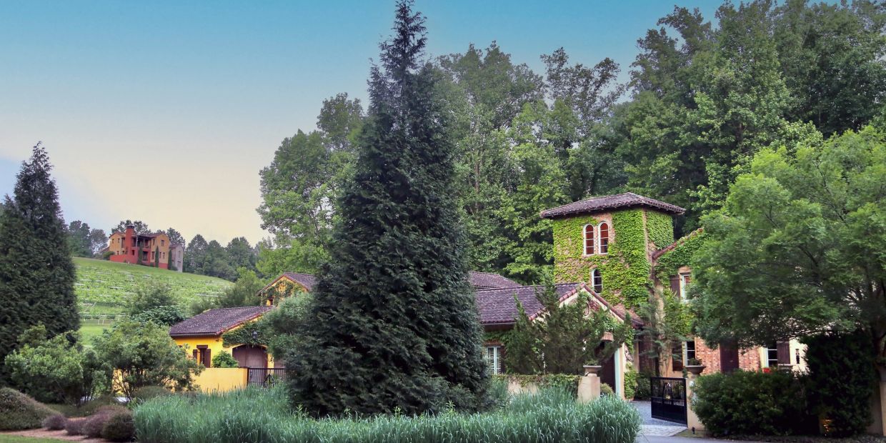 House covered in ivy surrounded by trees and greenery.
