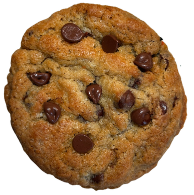 Close-up of a chocolate chip cookie.