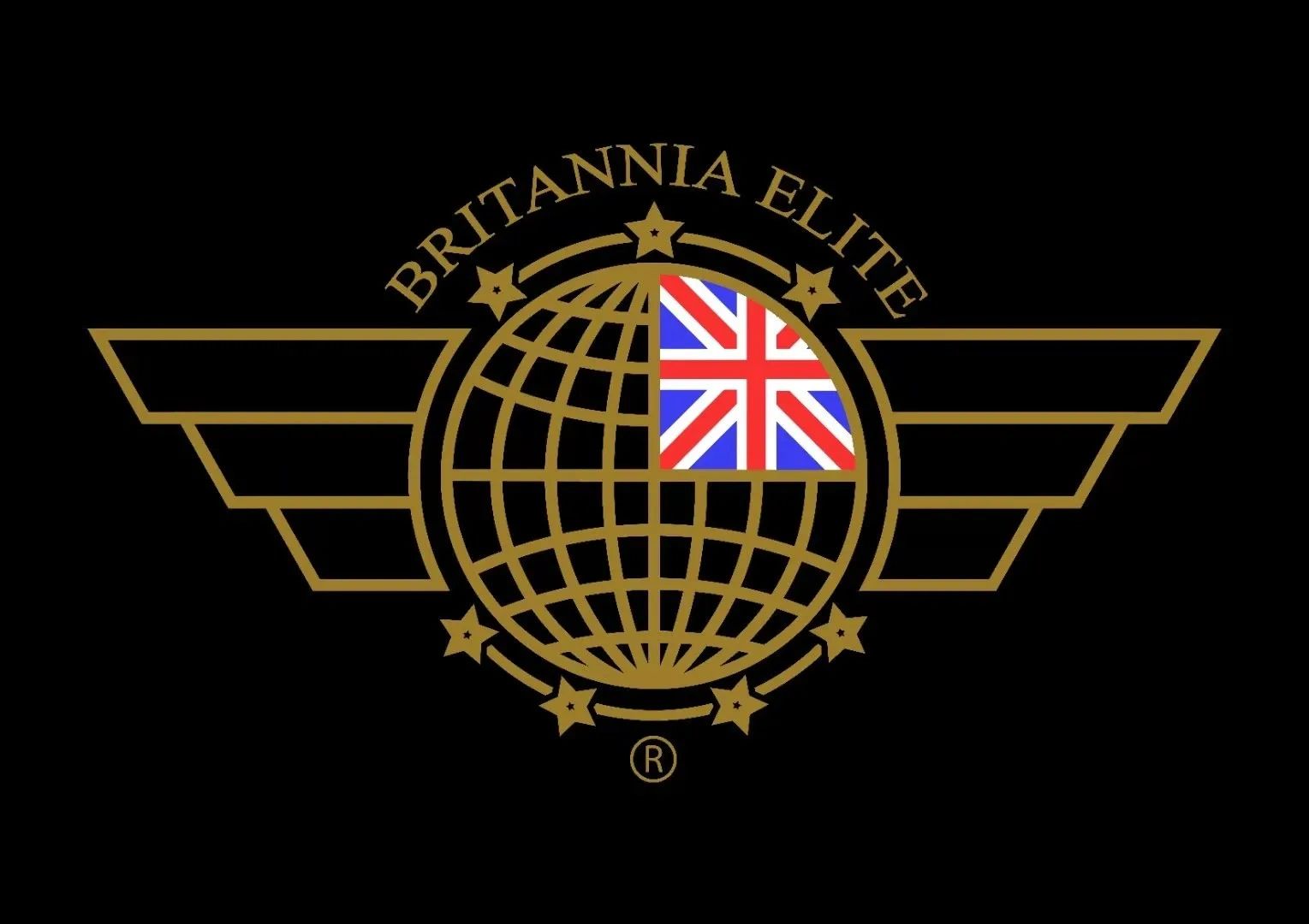 Britannia Elite Security Civil Defence Training Security Britannia Elite Security Civil Defence Training Security