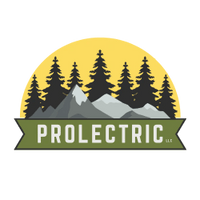 PROLECTRIC LLC