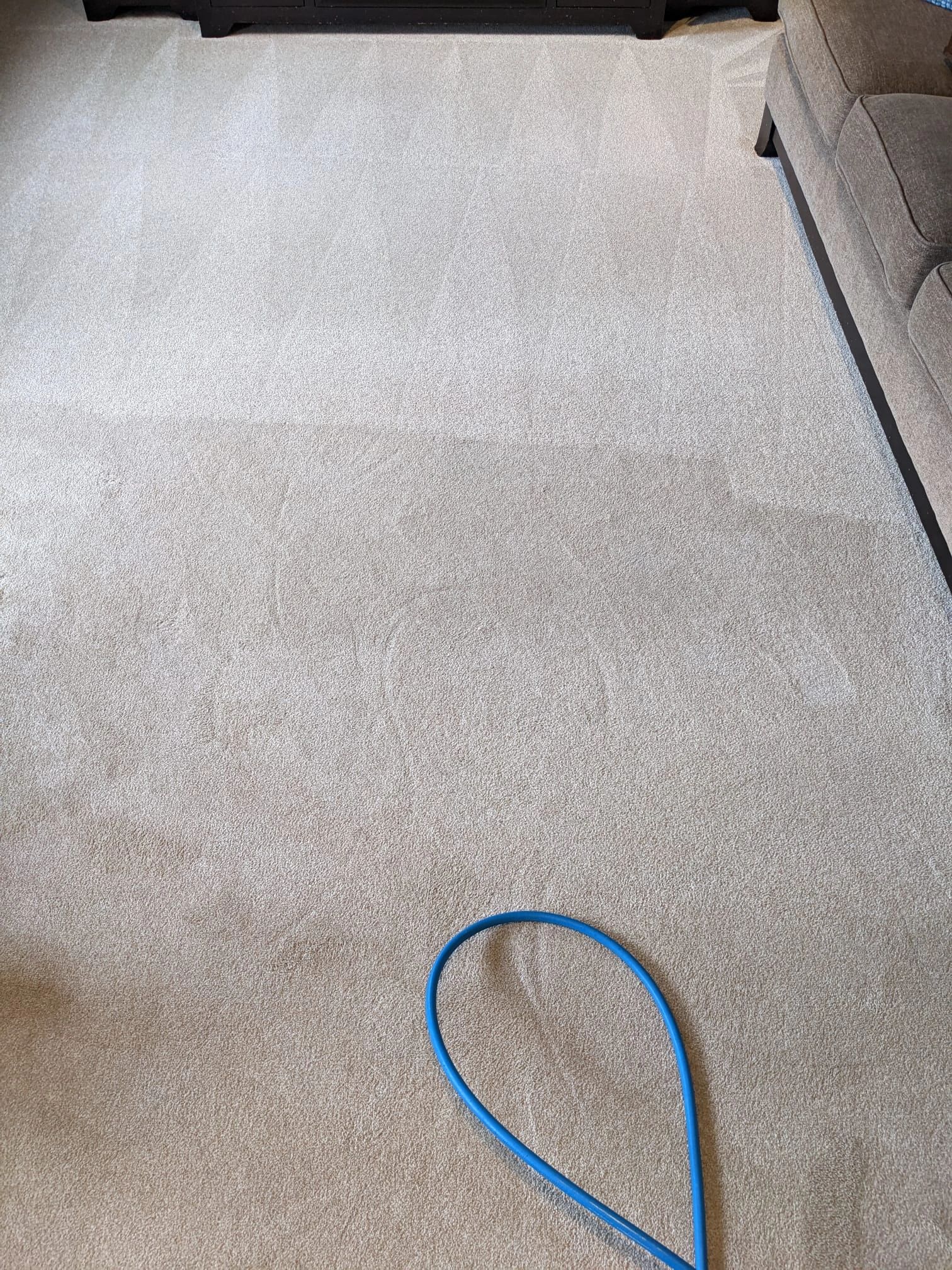 //img1.wsimg.com/isteam/ip/7fdeb4c4-ee12-4d0c-9e0e-d81cdbfdb399/May%205%20Livingroom%20carpet%20steam%20cleaning%20in%20proc.jpg/:/rs=w:1300,h:800