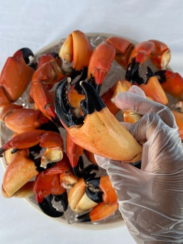 Fresh Stone Crab Claws