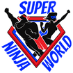SUPER NINJA ZONE
