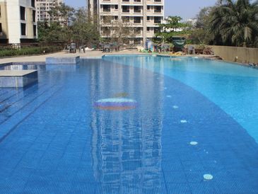 Outdoor residential swimming pool with blue tiles.