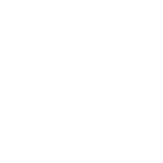 Rayyans Brands