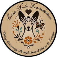 Casa Xolo Foundation