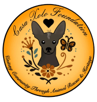 Casa Xolo Foundation