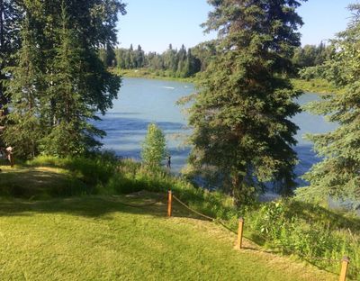 A peaceful lakeside scene with green grass and tall trees under a clear sky.