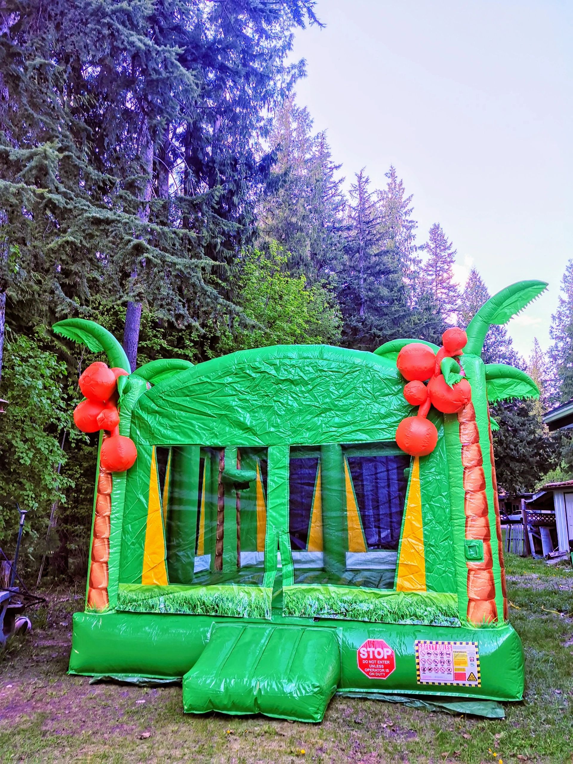 Tropical Bouncy House with palm trees