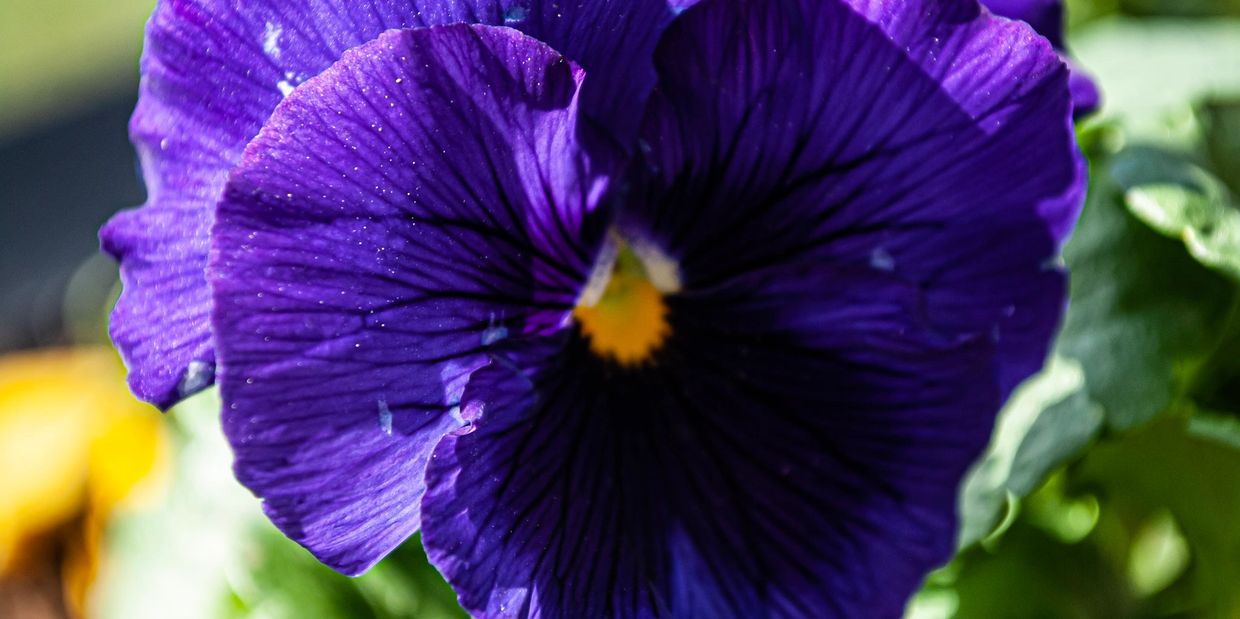 color therapy, energy rebalancing, art therapy, nature therapy, chakra healing, chakra balancing