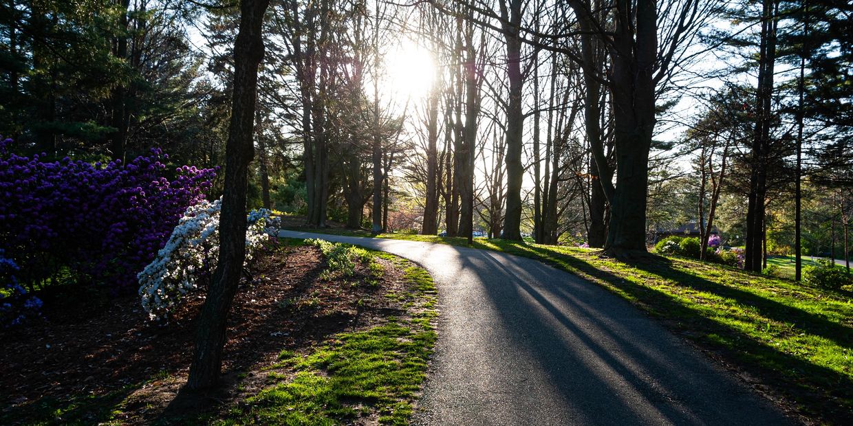 free spiritual consultation, free consultation, free assessment