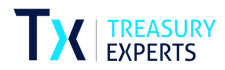 Treasury Experts