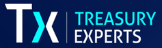 Treasury Experts