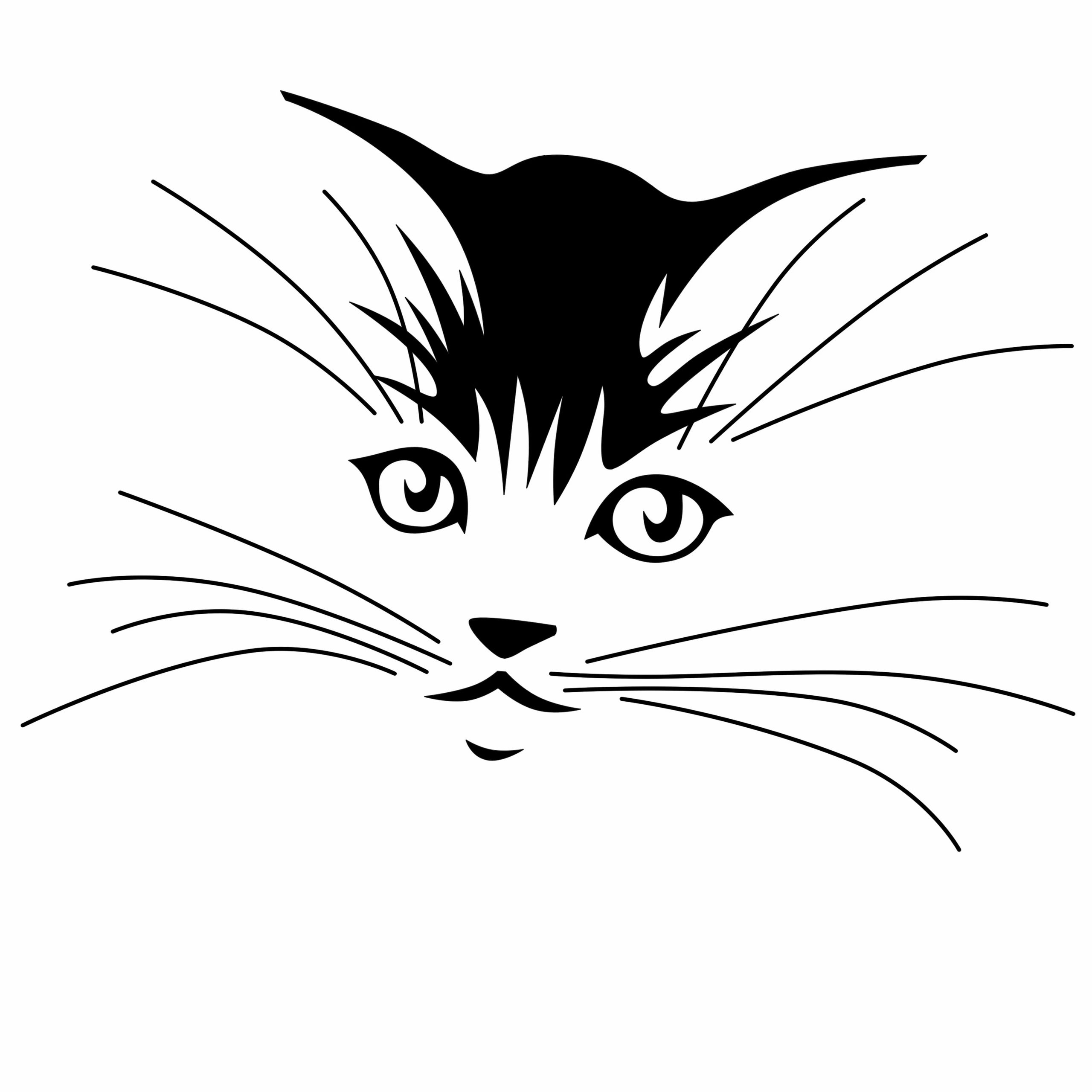 Морда кошки рисунок