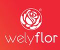 Welyflor