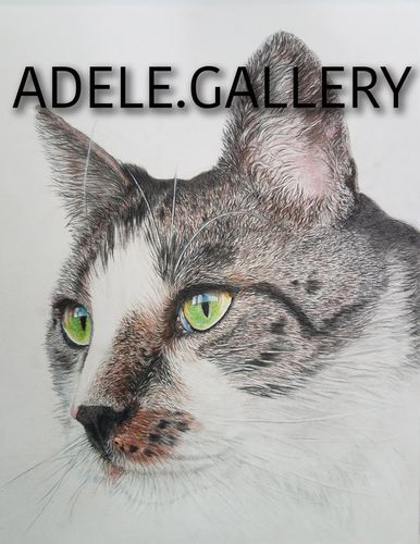 ultra realistic pencil drawing of cat portrait commission