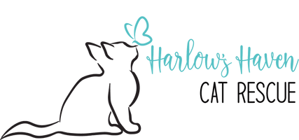 Harlow's Haven Cat Rescue