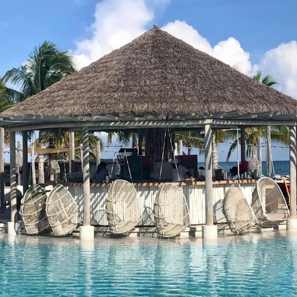 Thatched-roof poolside bar with hanging chairs overlooking palm trees and ocean.