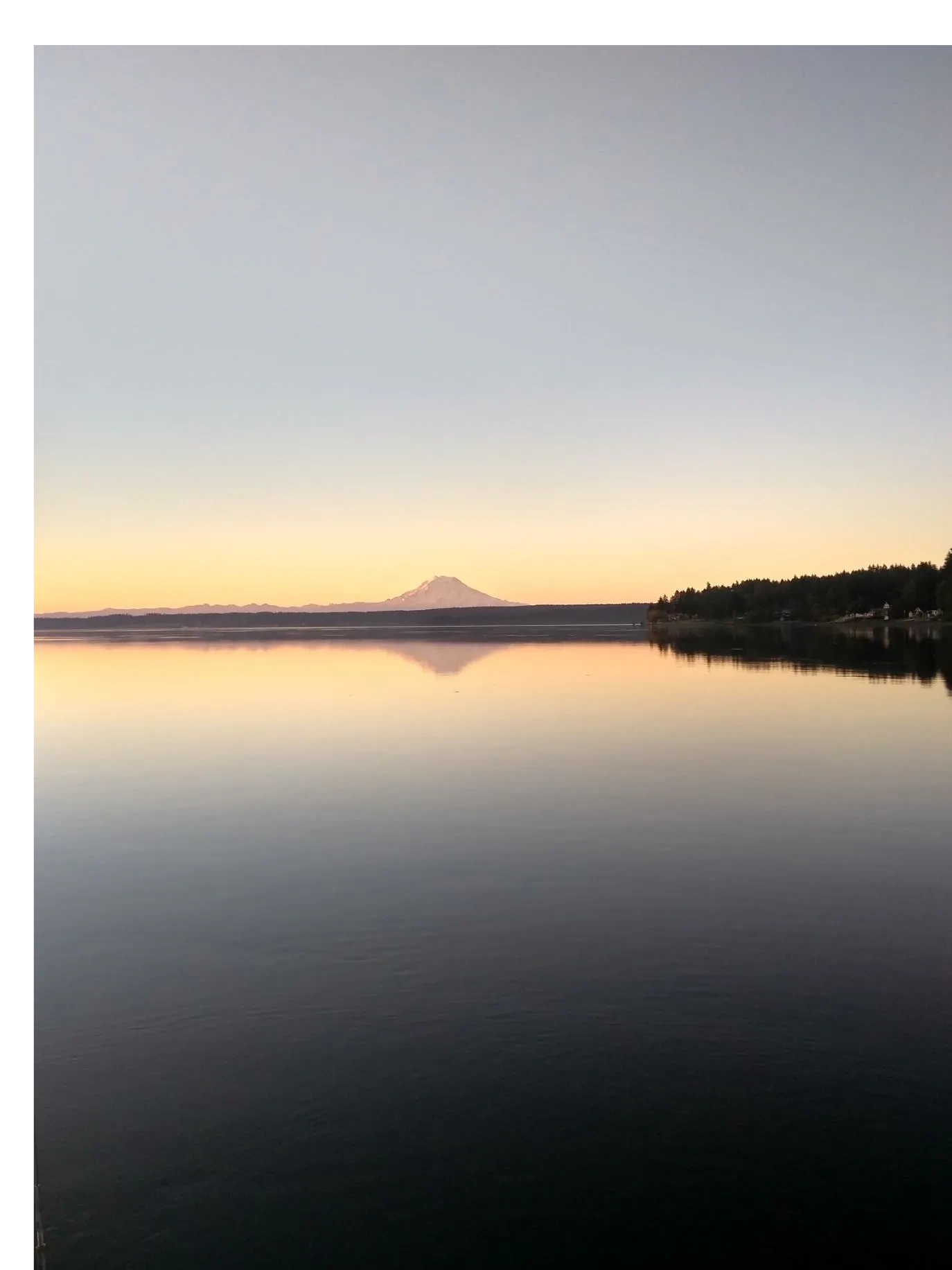 Career Evolution Coach