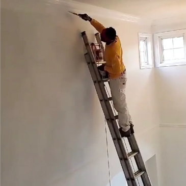 Residential painter on ladder.