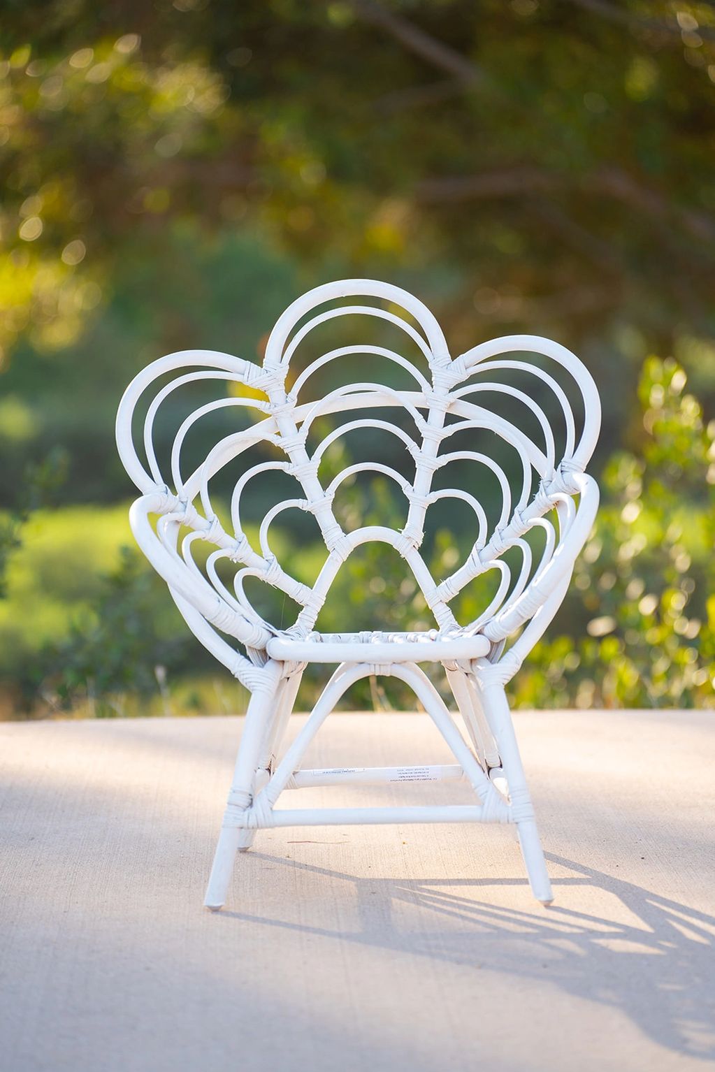 Mini Flora  Chair
$25 half day 
$35 full day 

