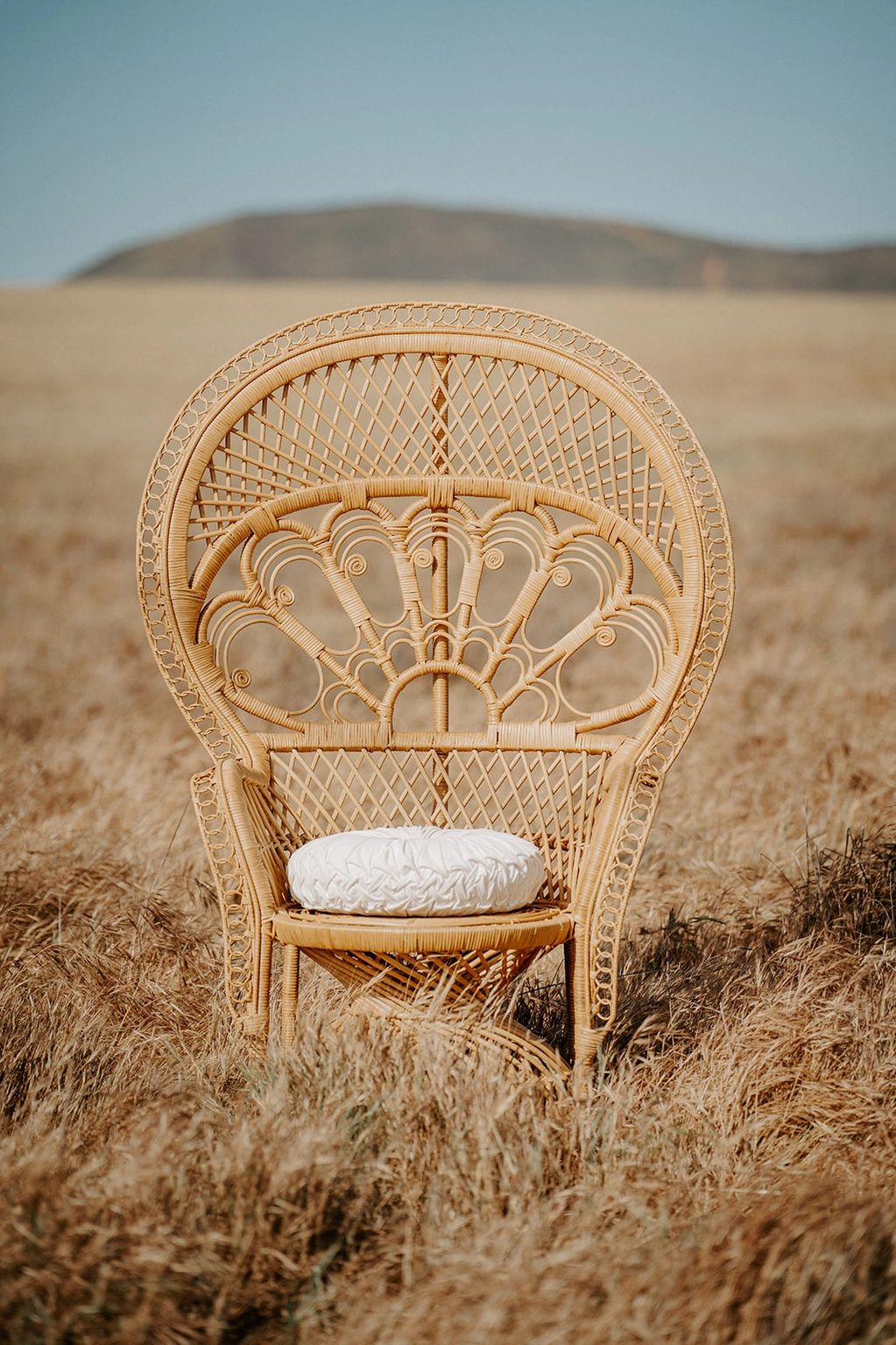 Rae Peacock Chair - Adult
$65 for half day or $75 for full day


Half day = 4 hrs
Full day = 8 hrs