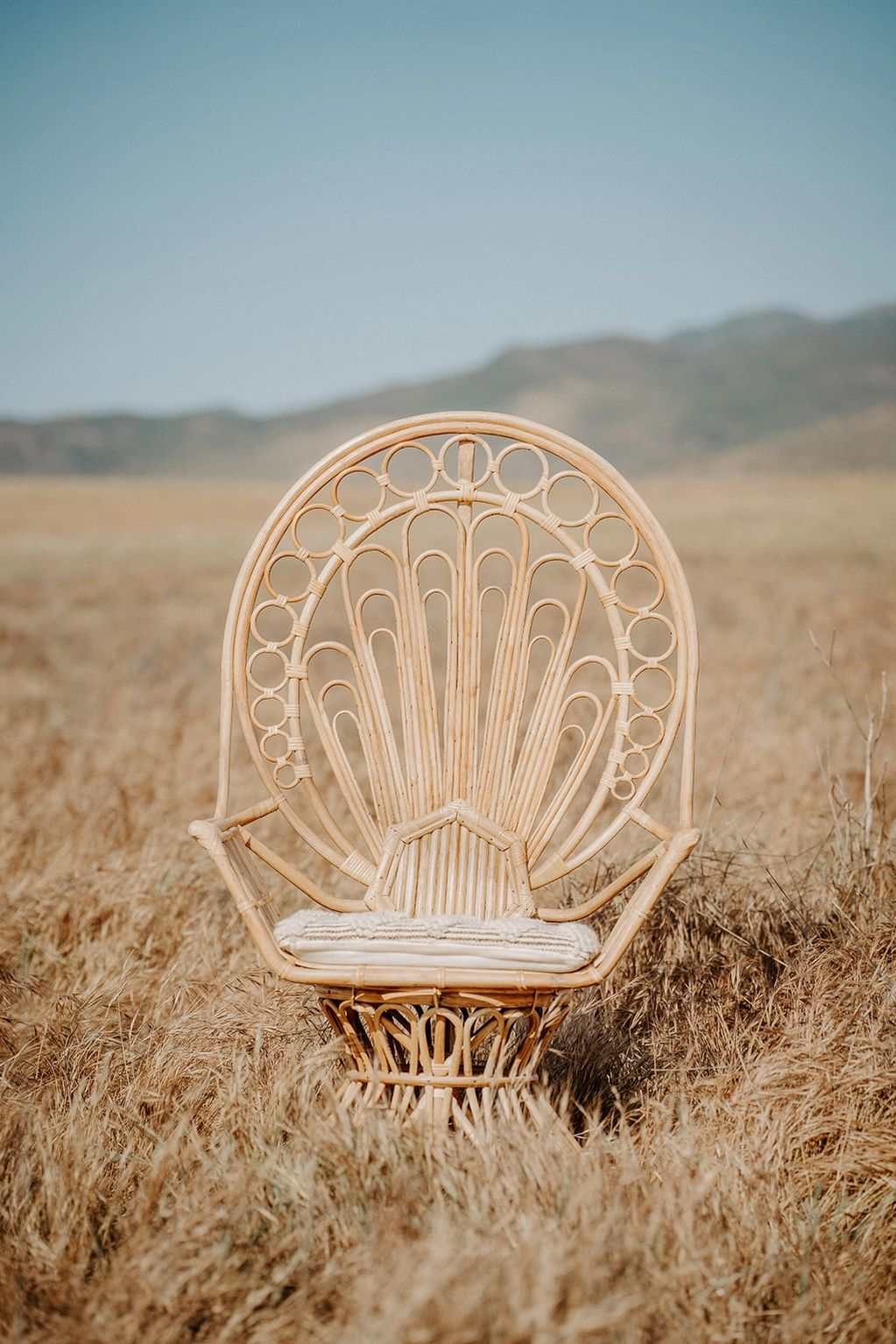 Paige Peacock Chair - Young Kids/Teen
$65 for half day or $75 full day
qty: 1